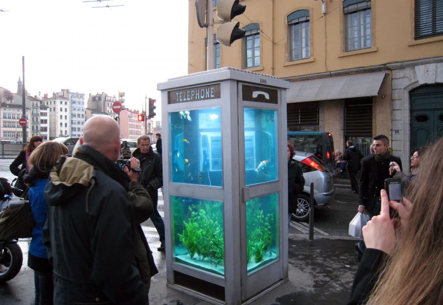 cabine téléphonique aquarium dans une rue en France